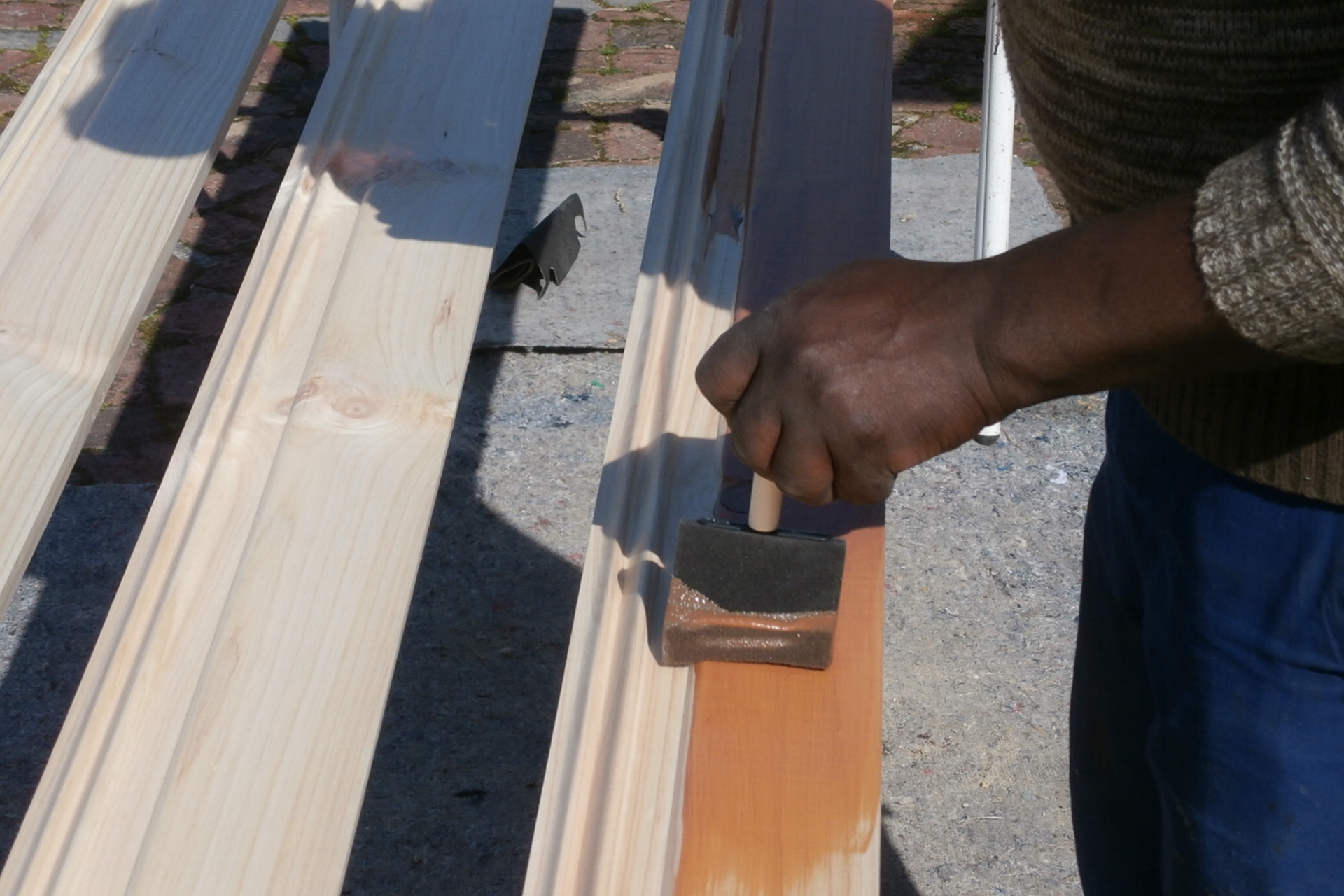 Integer non cursus dui